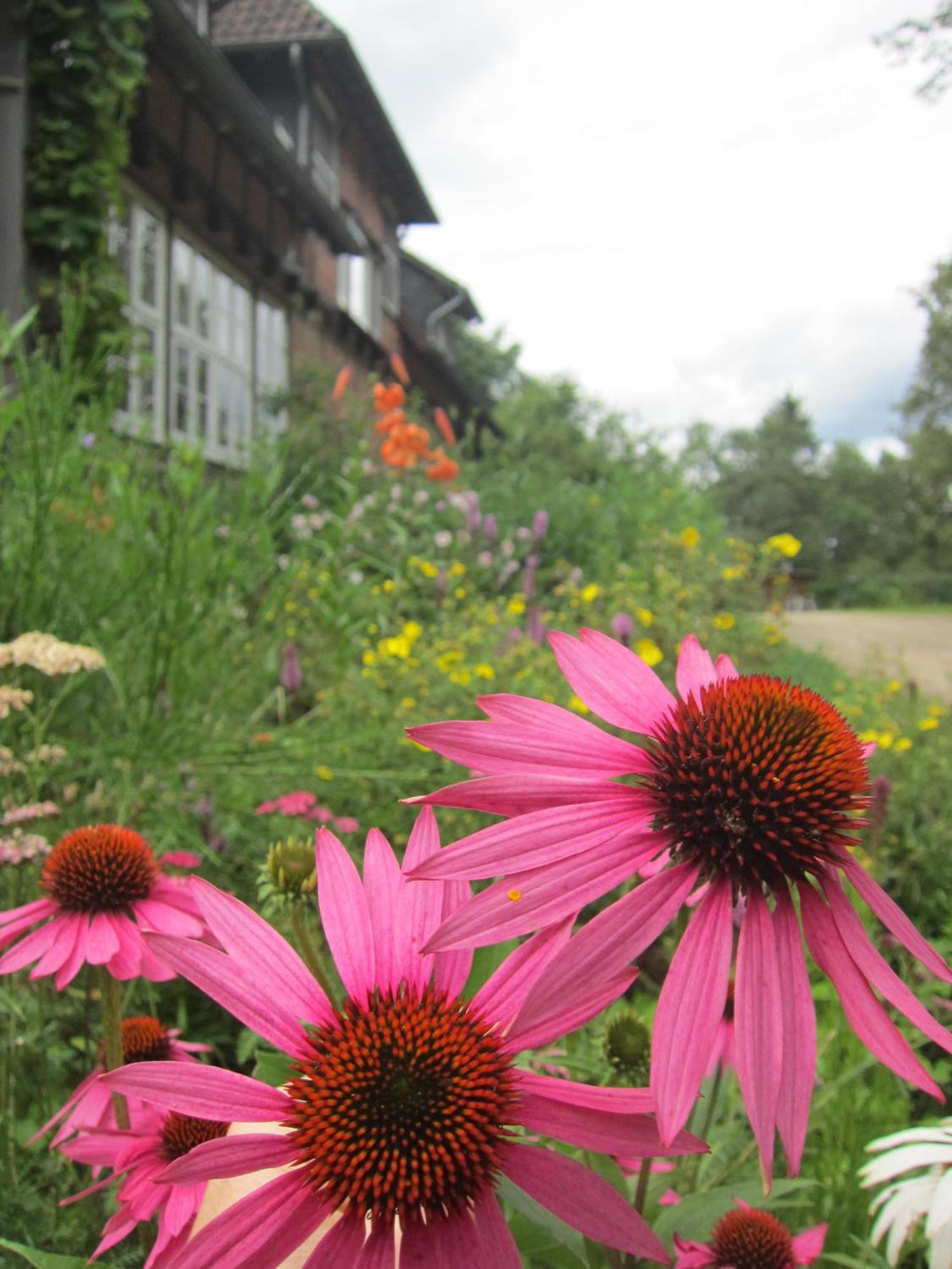 Haus Heidetal Bed & Breakfast บิสพิงเงน ภายนอก รูปภาพ