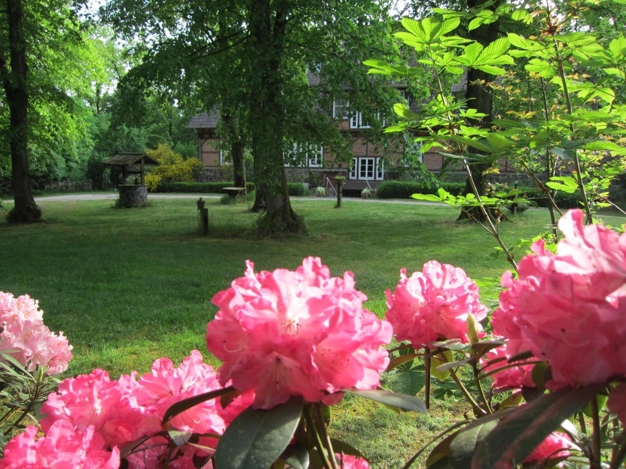 Haus Heidetal Bed & Breakfast บิสพิงเงน ภายนอก รูปภาพ