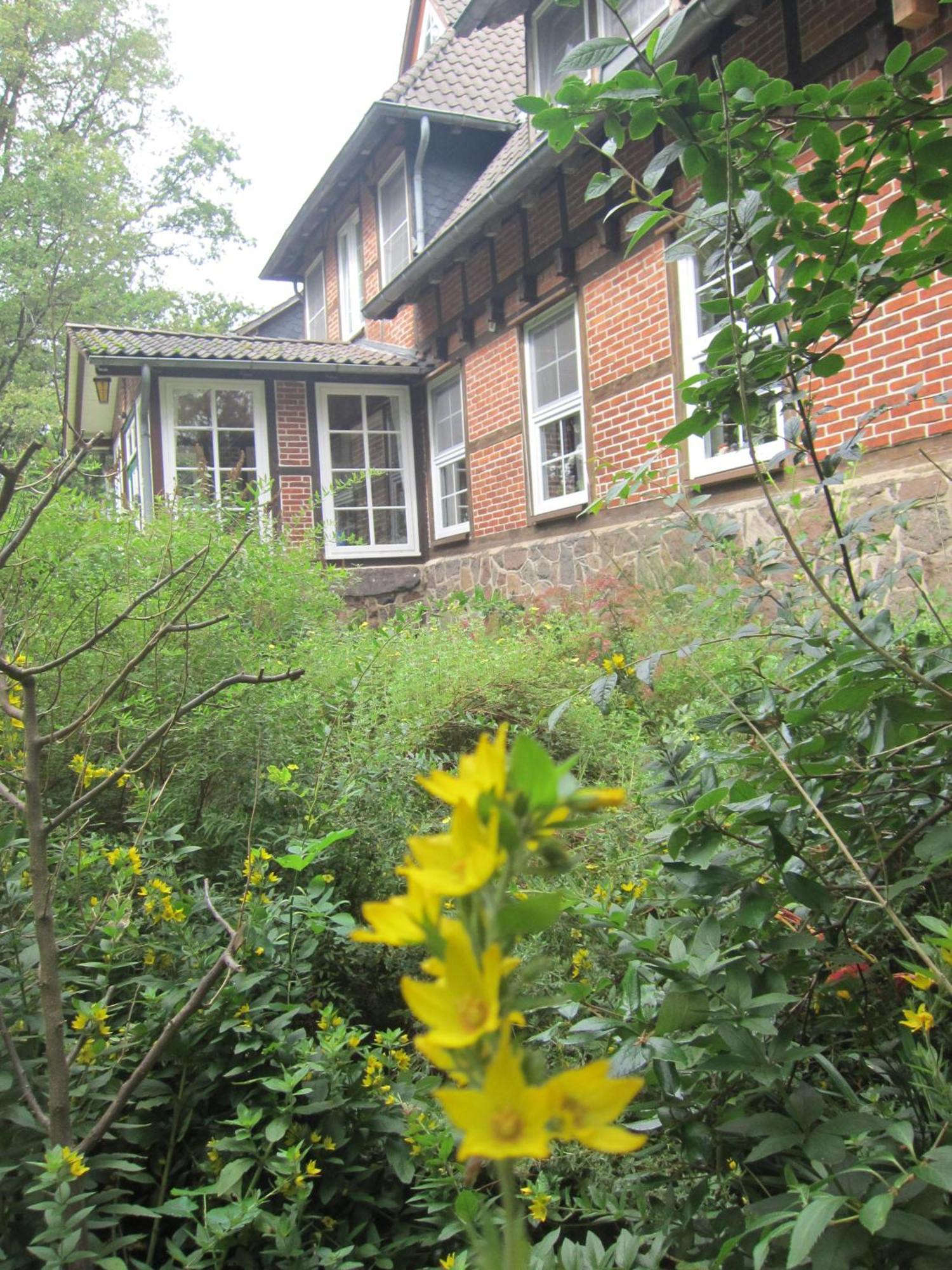 Haus Heidetal Bed & Breakfast บิสพิงเงน ภายนอก รูปภาพ